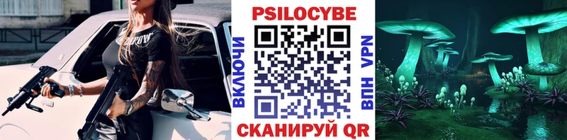 Галлюциногенные грибы Psilocybine cubensis  Бийск 