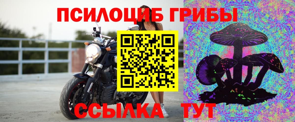 Галлюциногенные грибы мицелий Бийск
