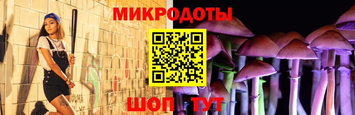 Галлюциногенные грибы Psilocybe  Вход с VPN  Псилоцибиновые грибы ЛСД  Бийск 