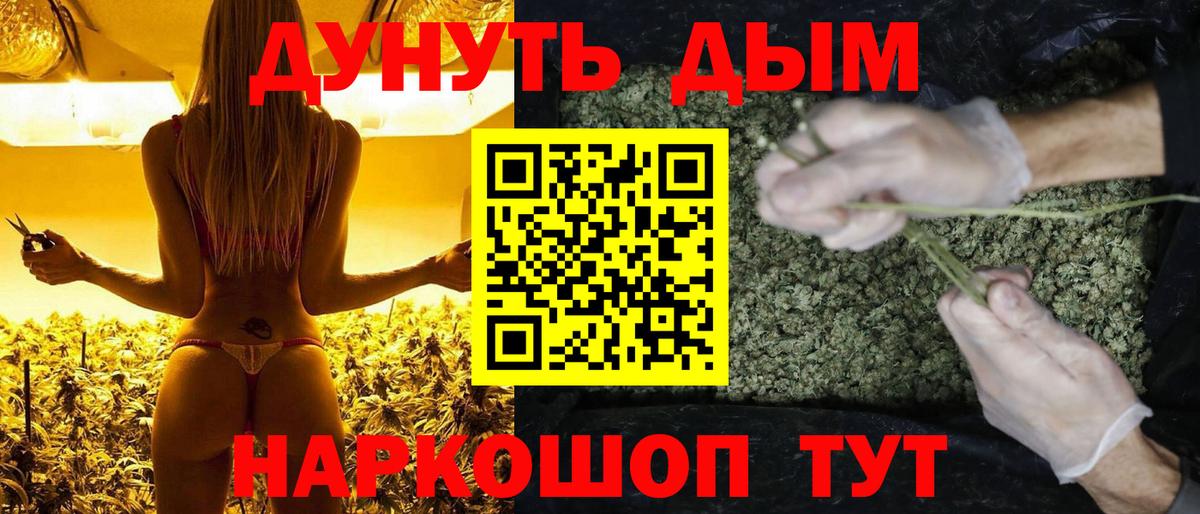 Марихуана OG Kush  Бошки марихуана сатива  Вход с VPN  Бийск 
